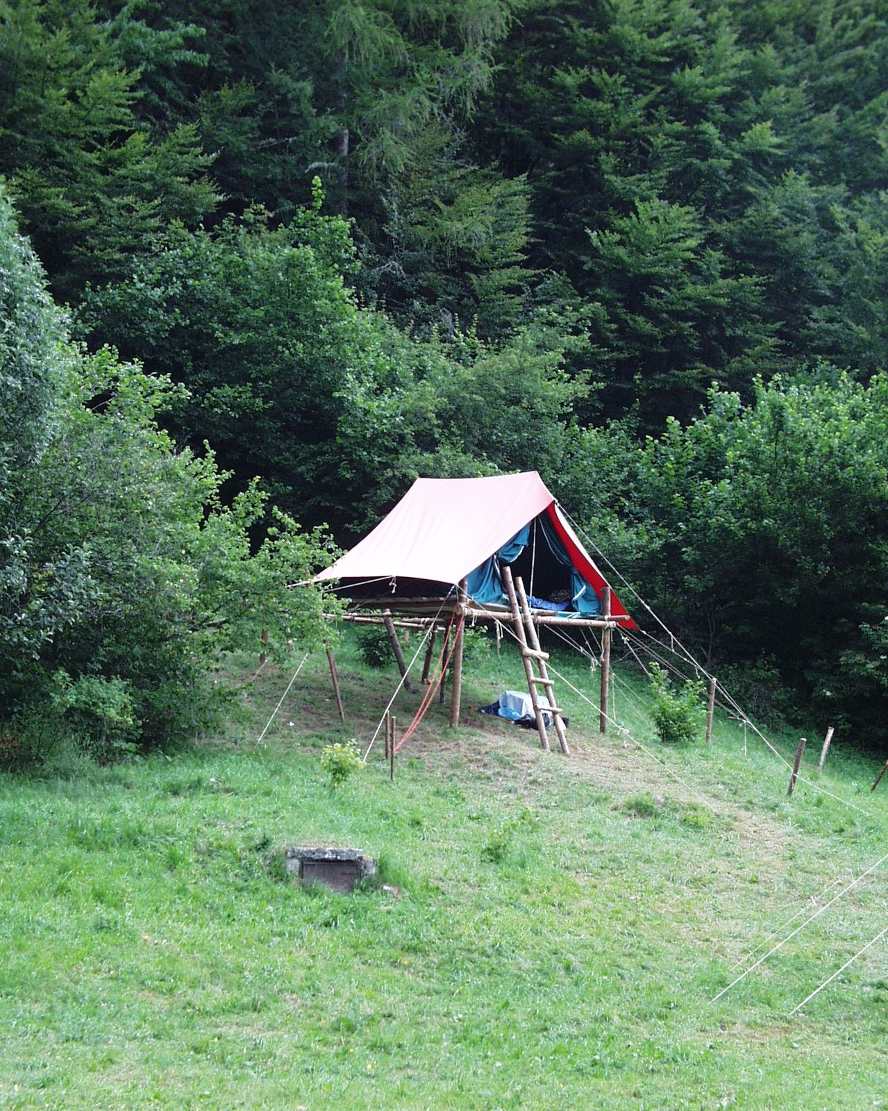 Foto 5 dei campi tende