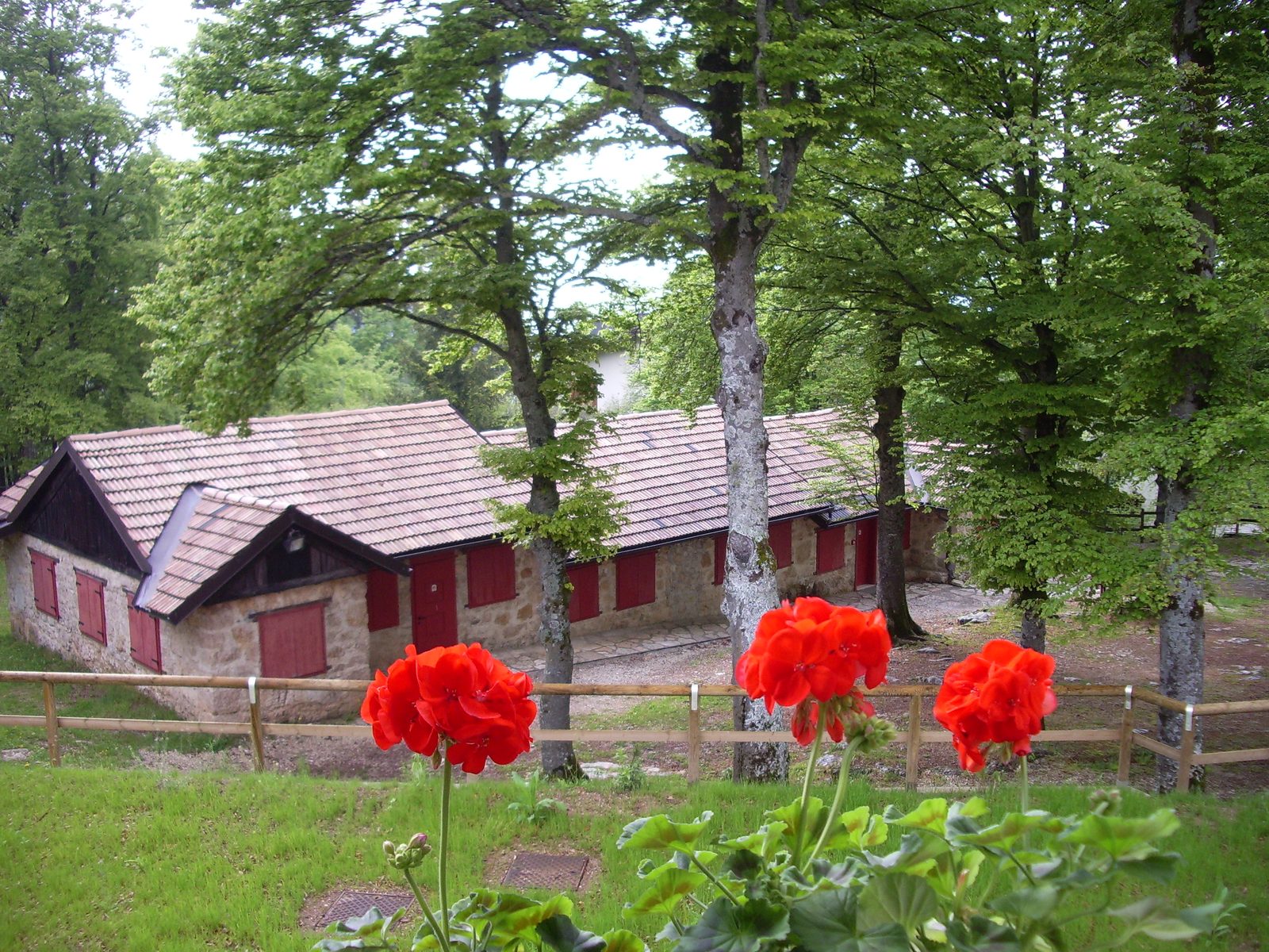 Foto della Casa Ape