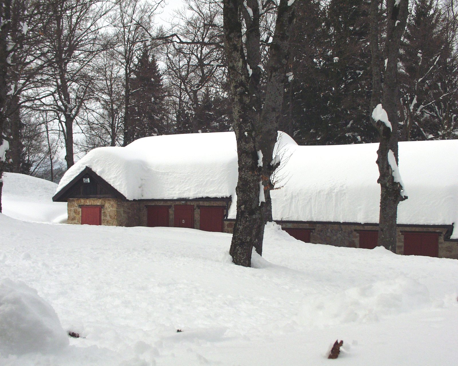 La Casa Ape d'inverno