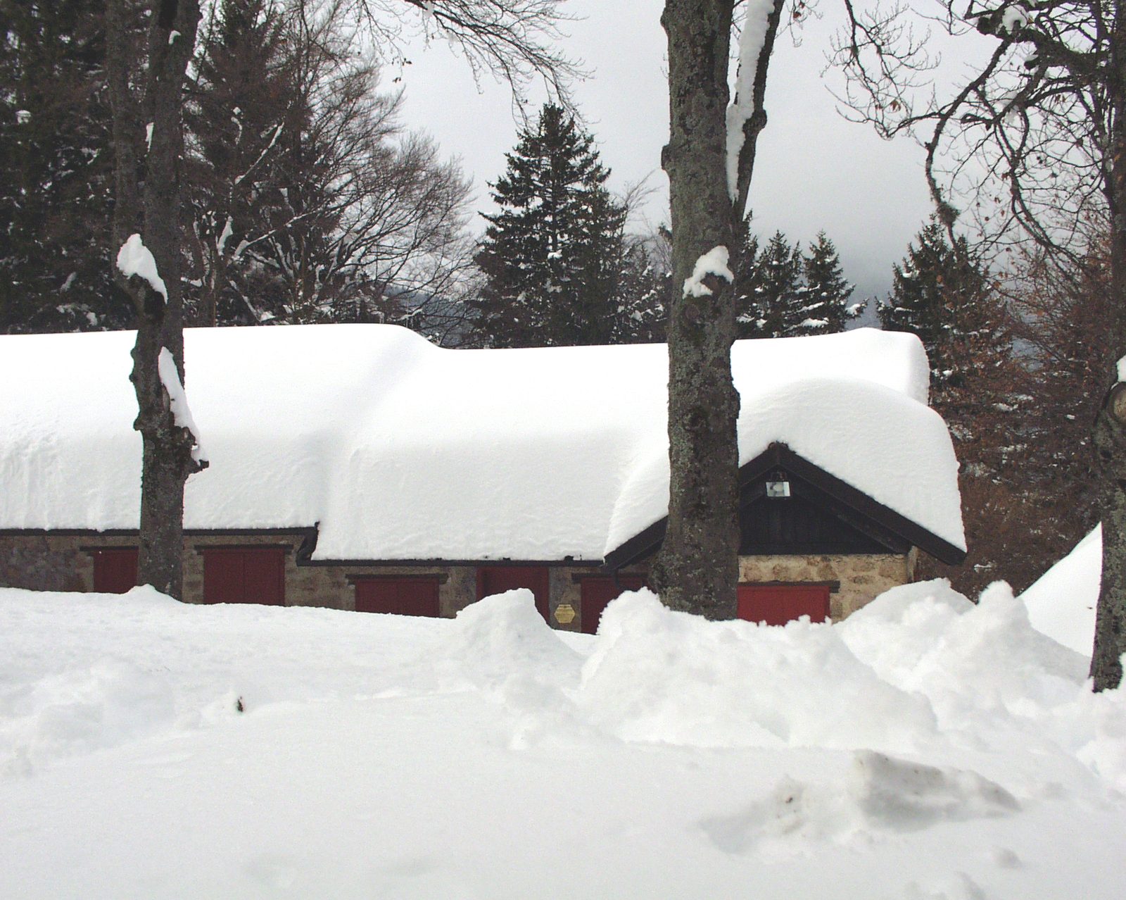 La Casa Ape d'inverno
